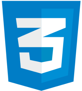 CSS icon